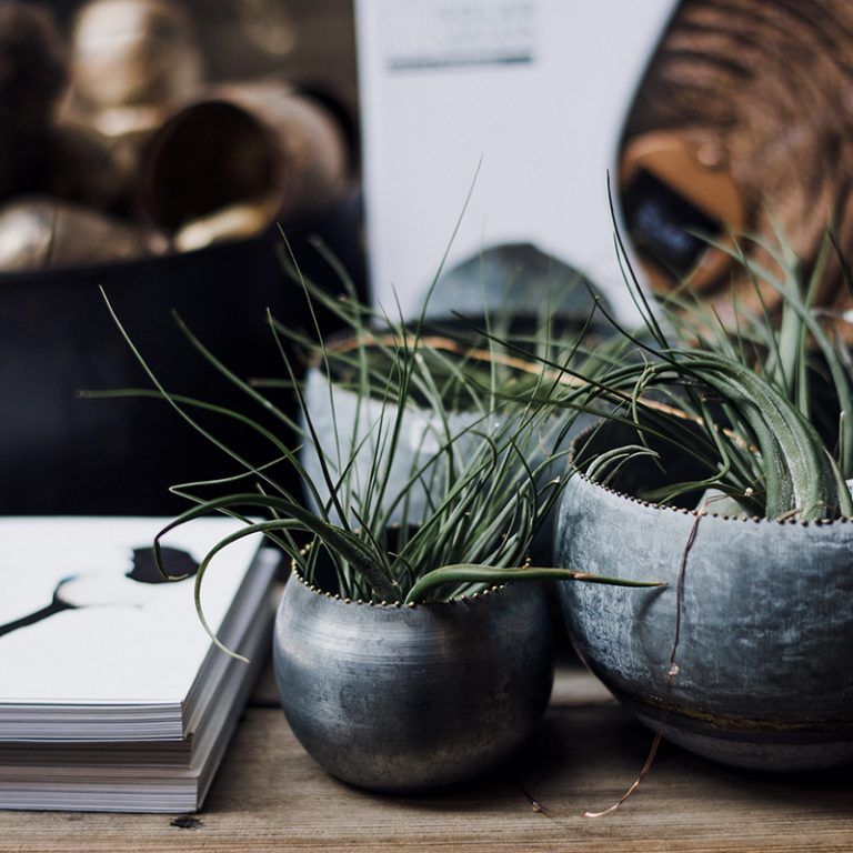 ¿Qué es Lorem Ipsum?